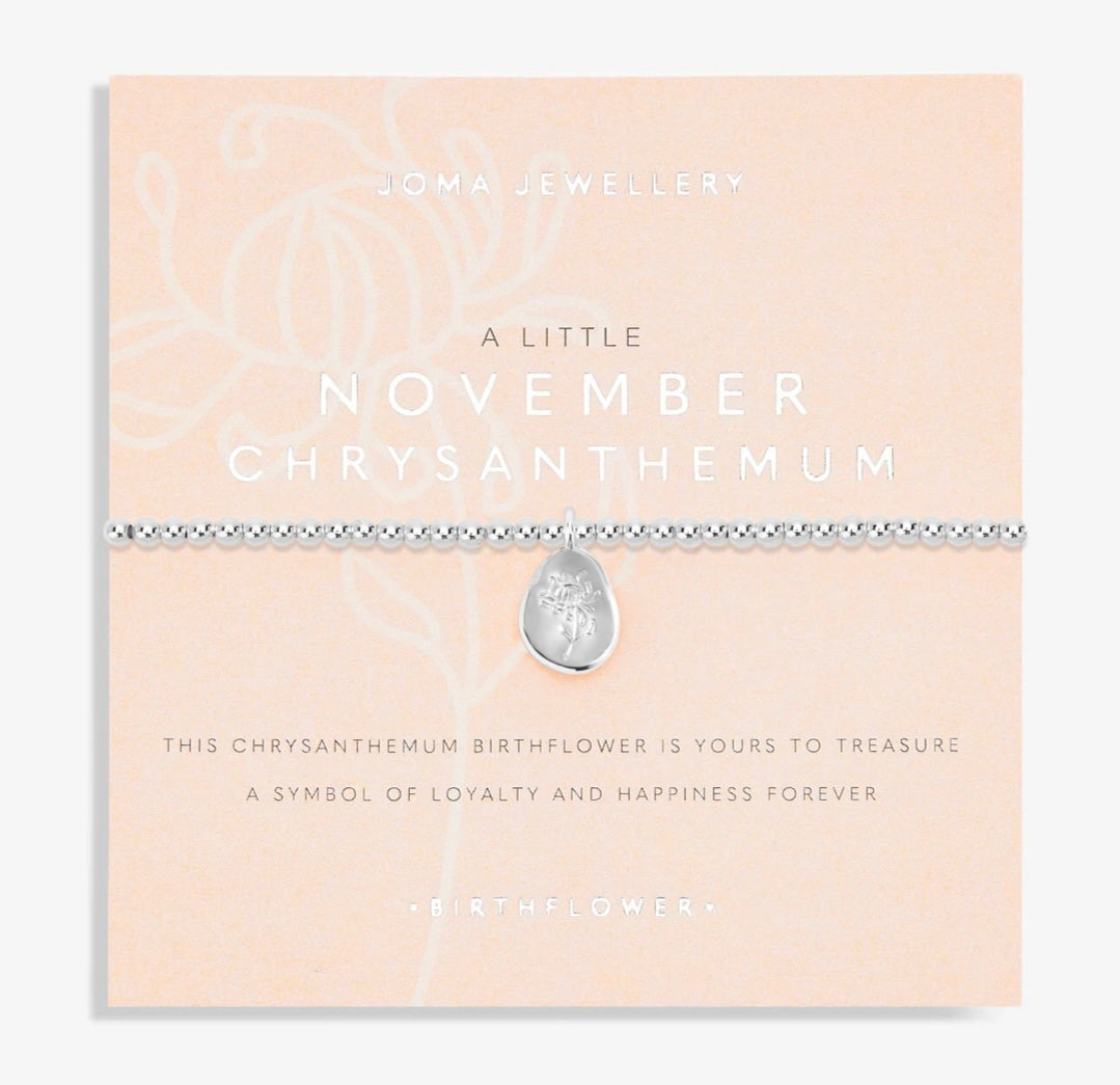 Birth Flower A Little 'November' Chrysanthemum