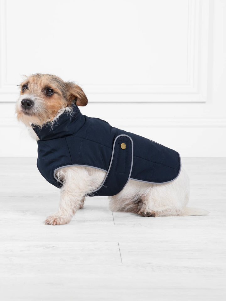 Charlotte Navy Dog Coat