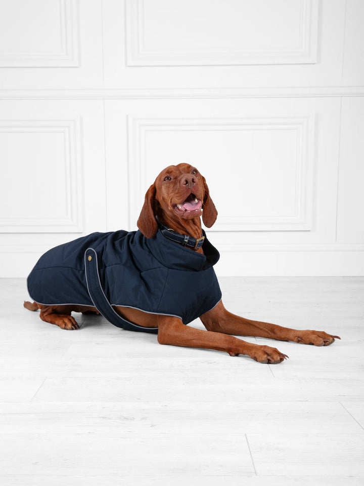 Charlotte Navy Dog Coat