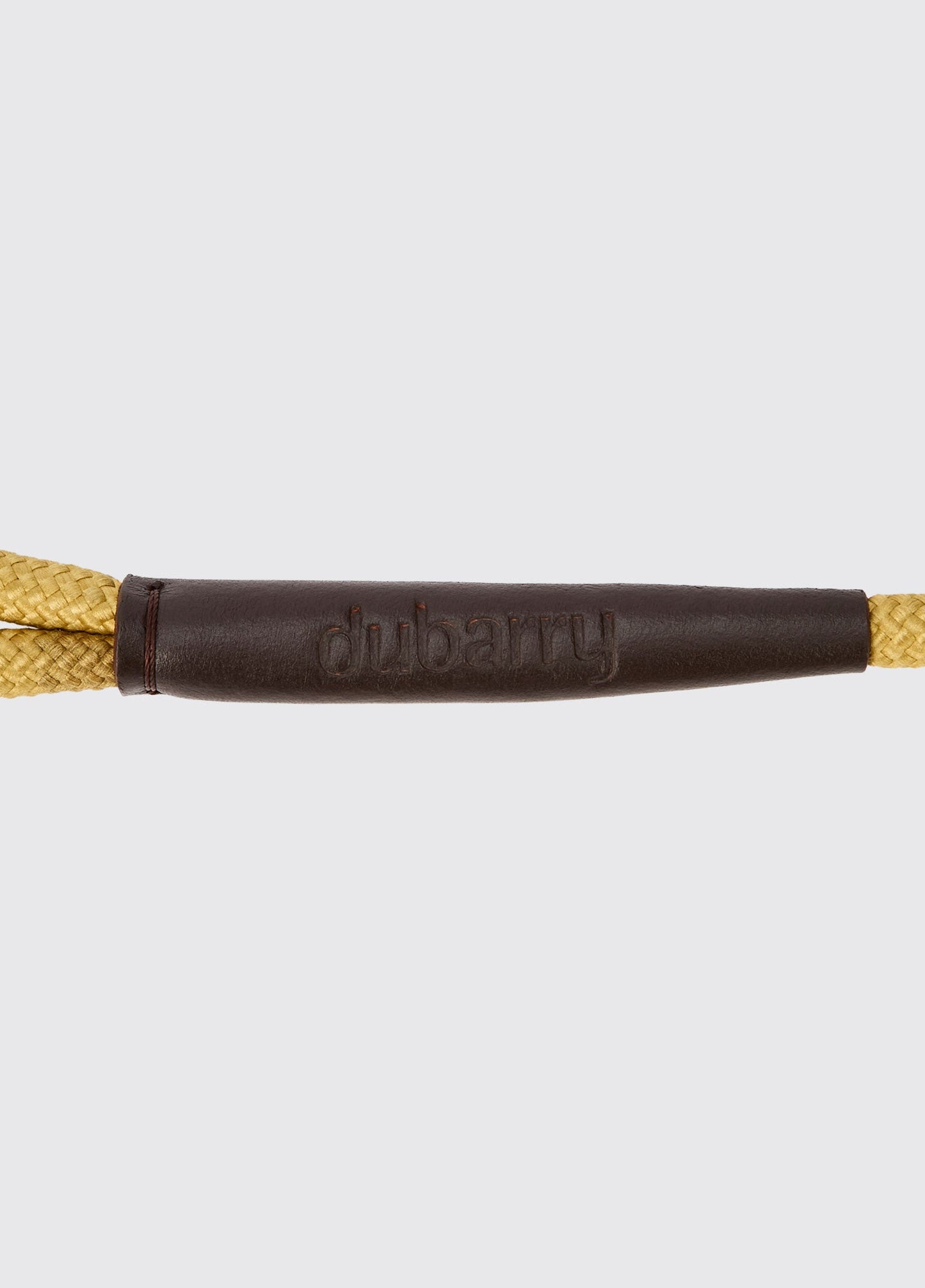 Marley 5ft Nylon Rope slip lead for dogs - Gold