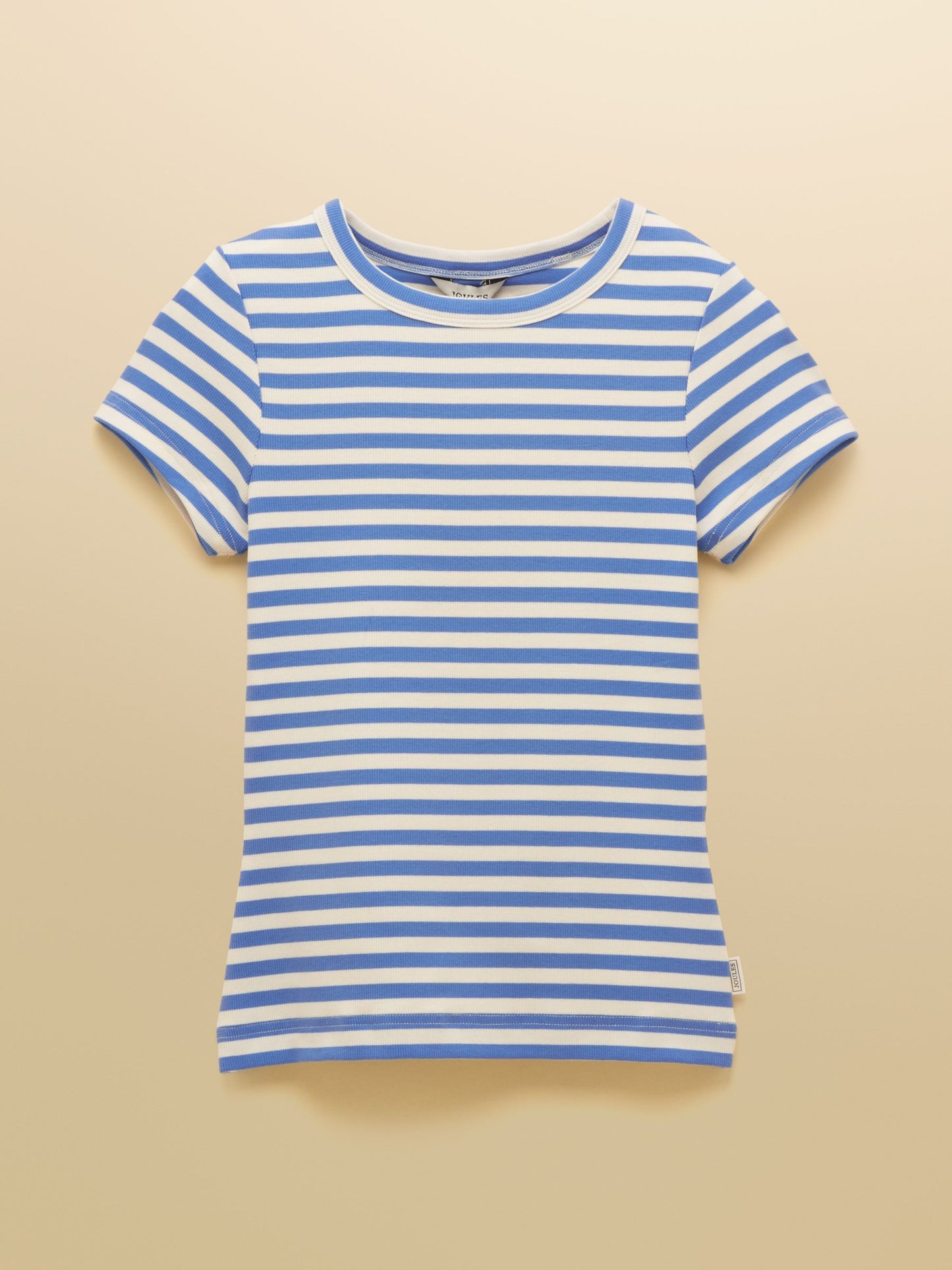 Sophie Blue Stripe Short Sleeve Ribbed Fitted T-Shirt