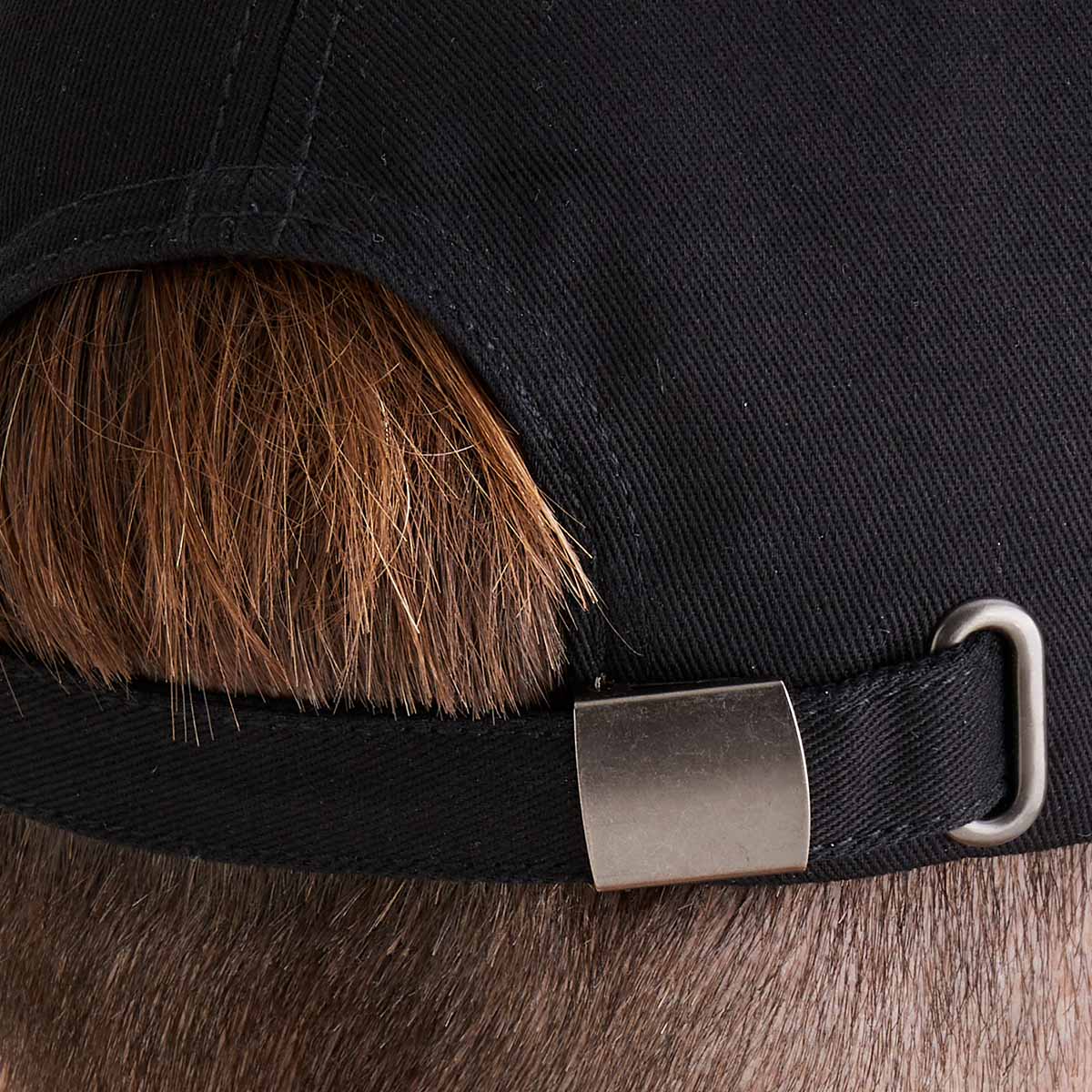 Ridgeline Signature Cap Black