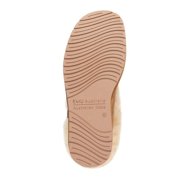 Platinum Albany Chestnut