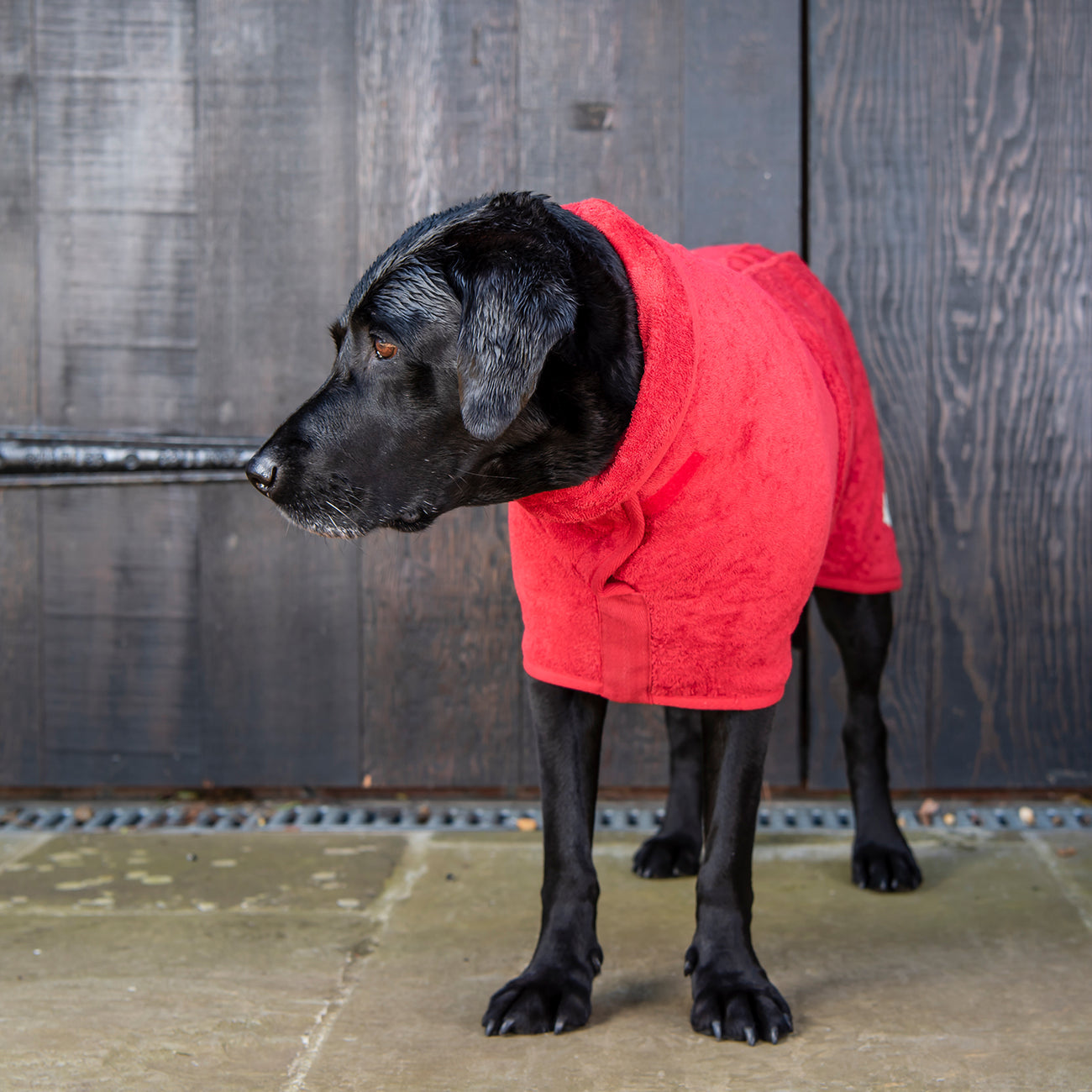 Classic Dog Drying Coat Brick lRed