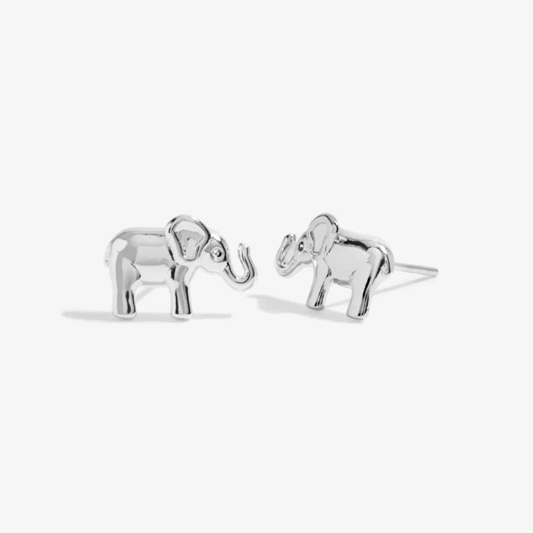 Lucky Elephant Earrings