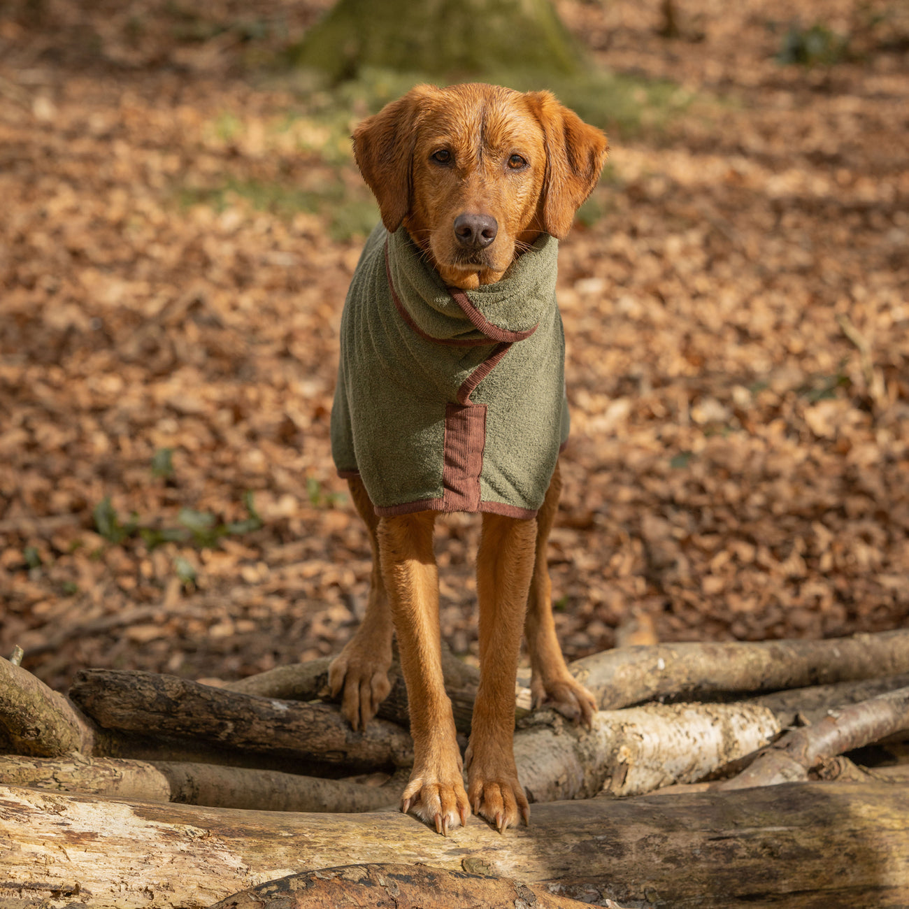 Country Dog Drying Coat - Moss