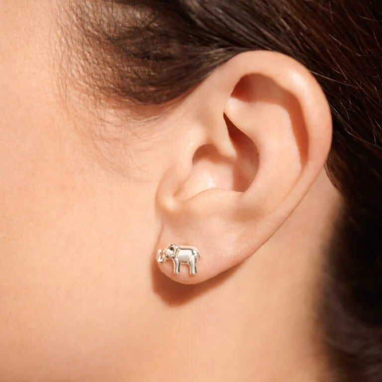Lucky Elephant Earrings