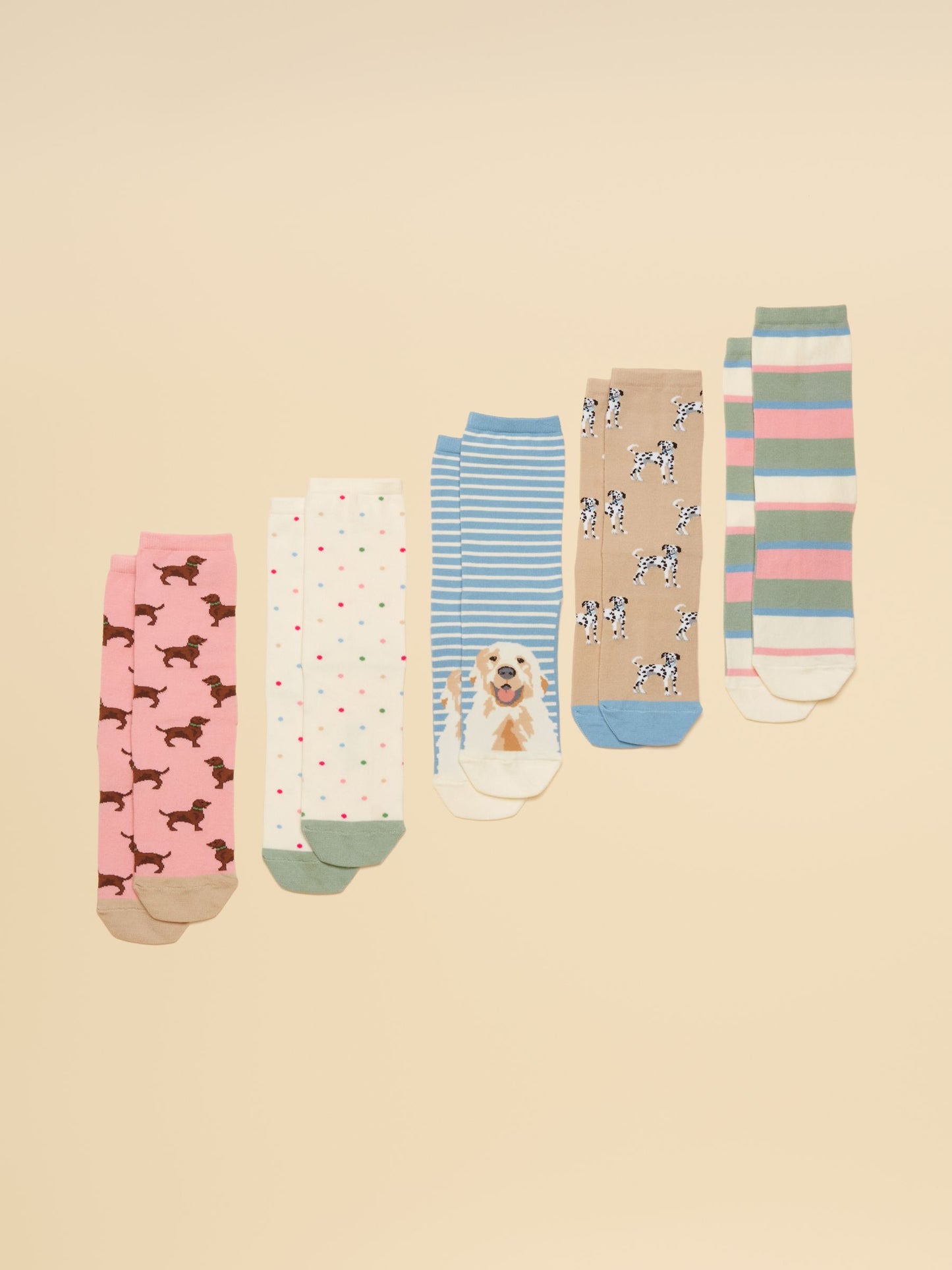 Everyday Multi Ecru Dog Ankle Socks