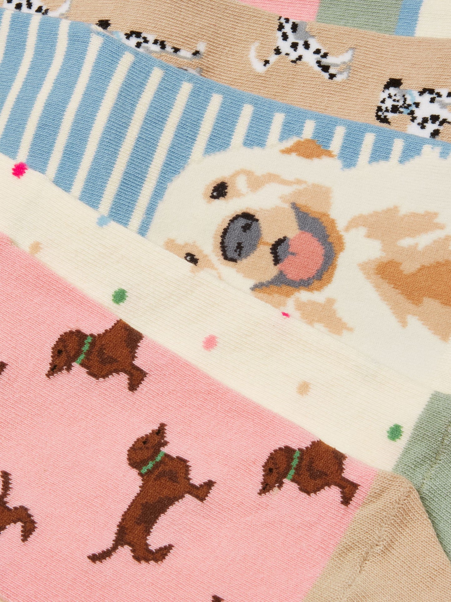 Everyday Multi Ecru Dog Ankle Socks
