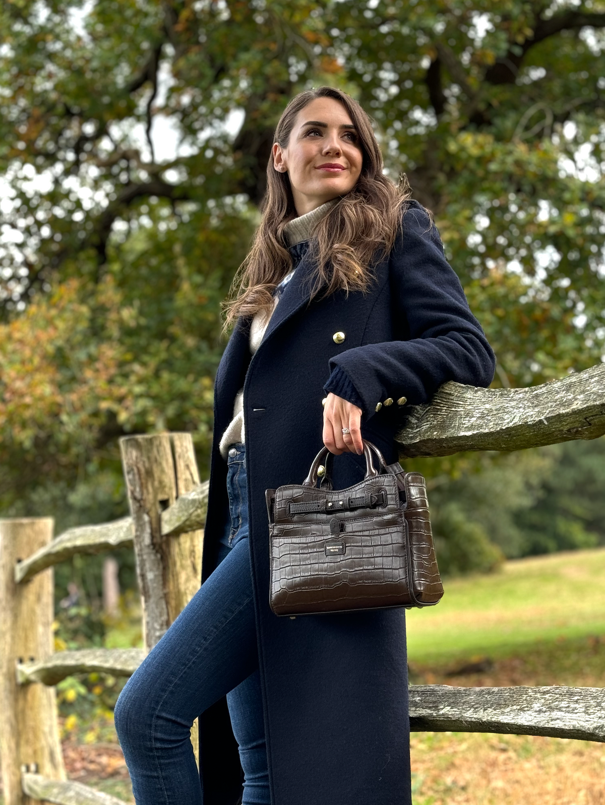 Ambridge Chocolate Leather Handheld Bag