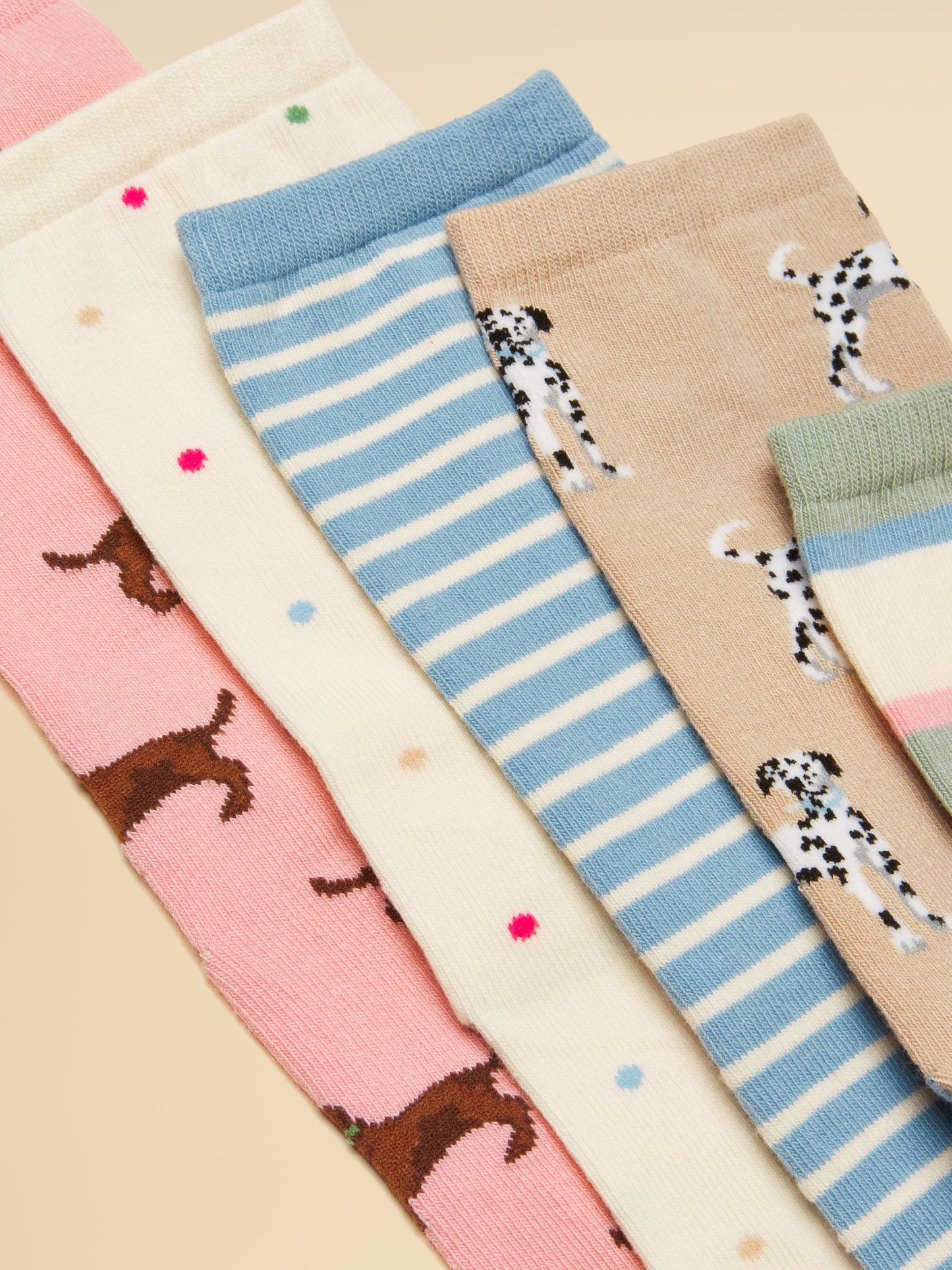 Everyday Multi Ecru Dog Ankle Socks