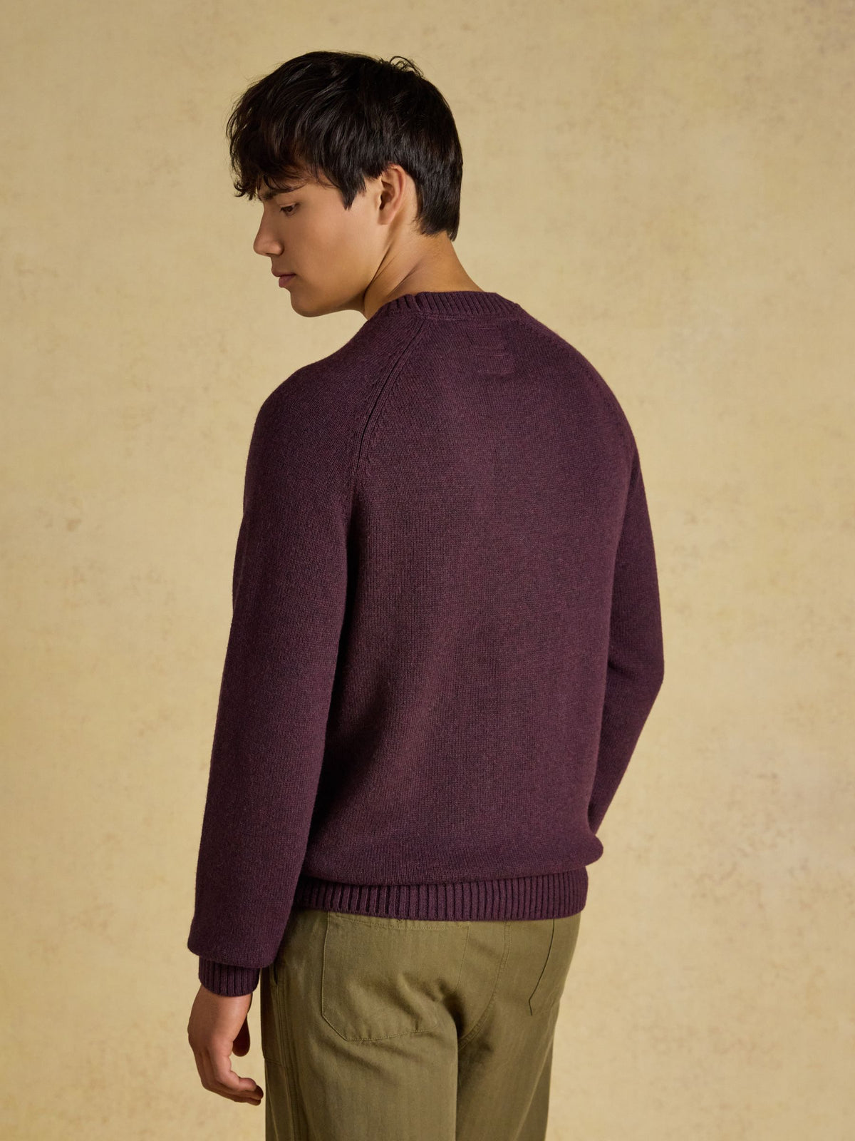 Intarsia Crew Neck Purple Jonty Fox Jumper