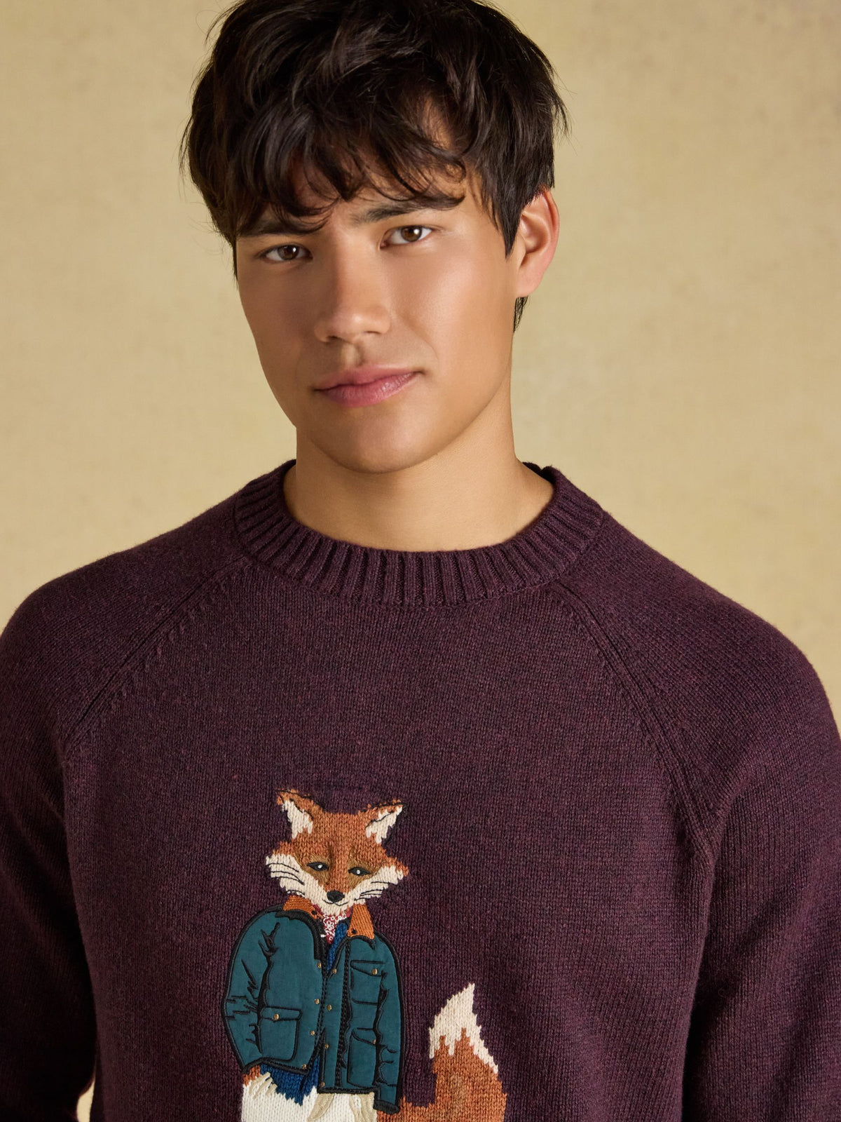 Intarsia Crew Neck Purple Jonty Fox Jumper