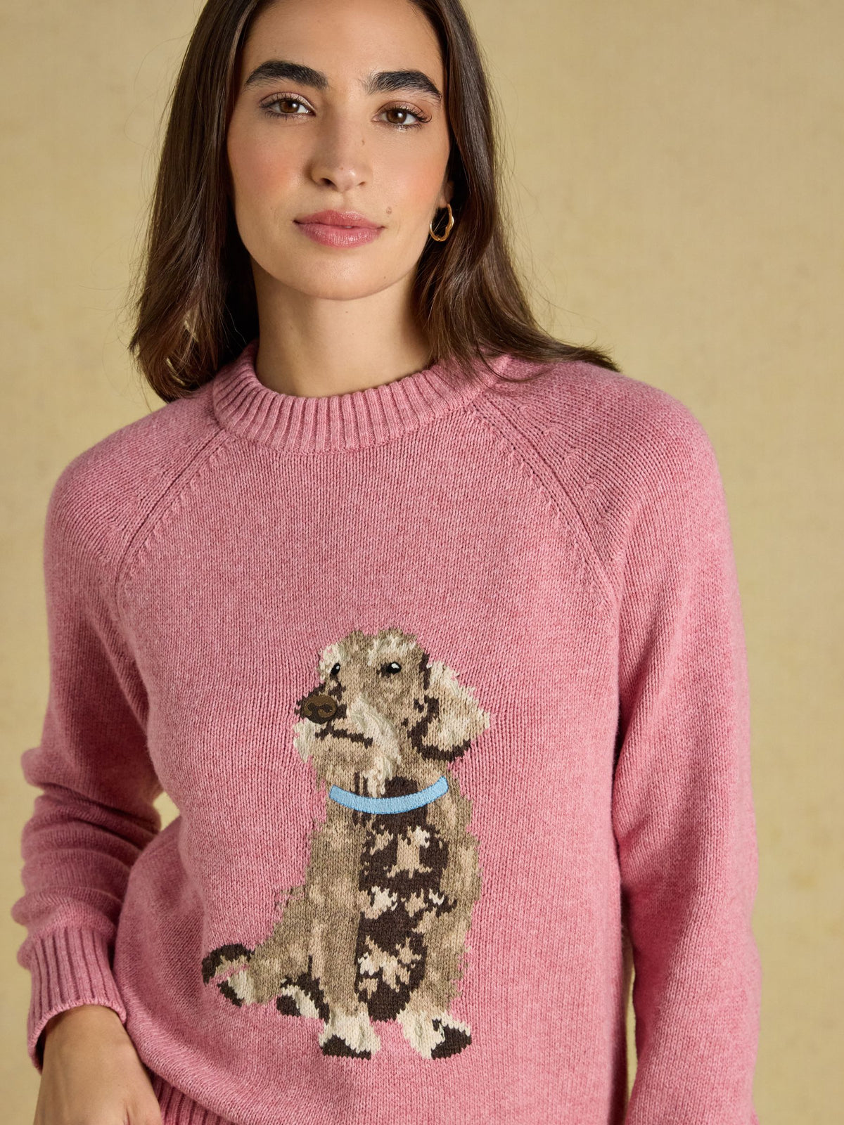 Dachshund Pink Cotton Blend Crew Neck Knitted Jumper