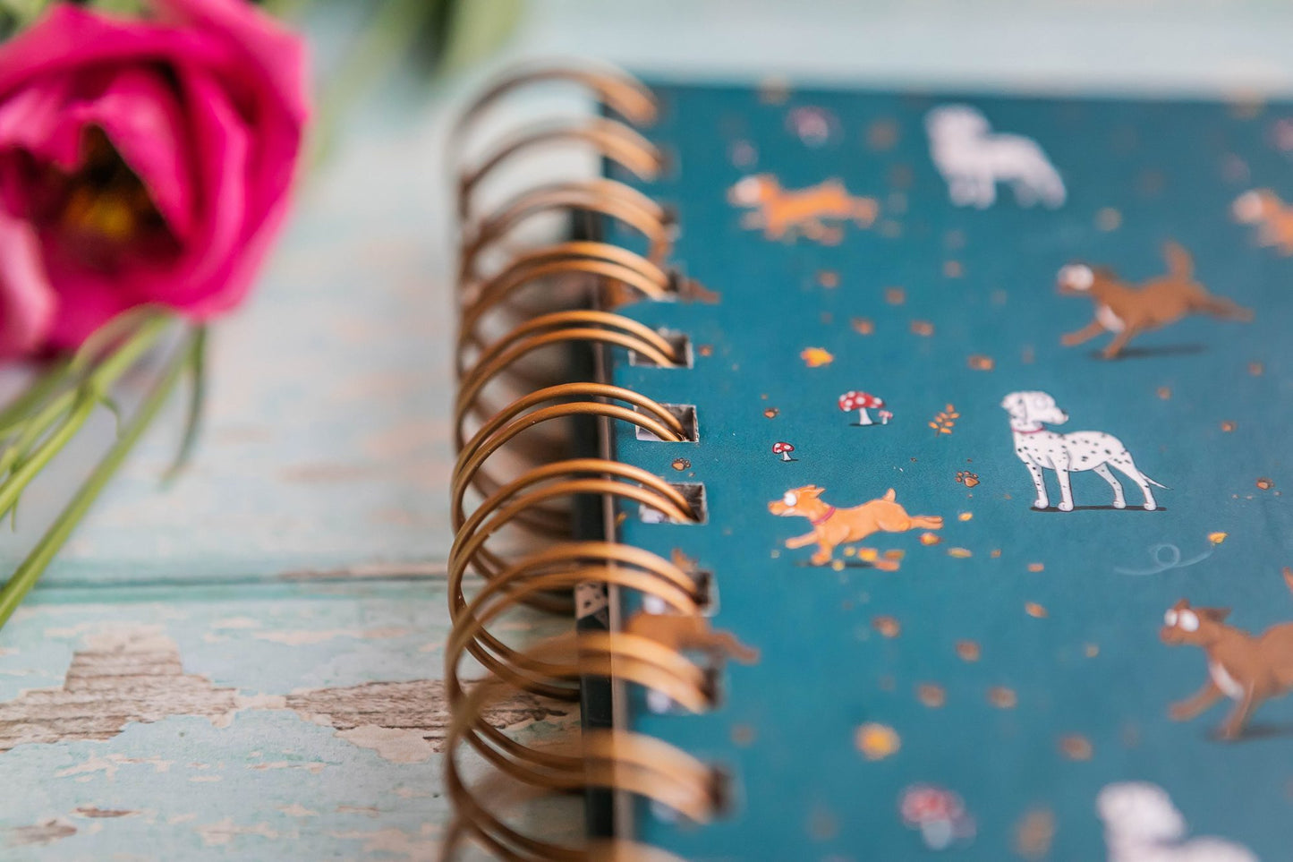 A5 – ‘Muddy Paws’ Hardback Notebook