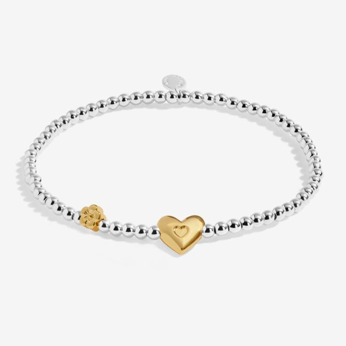 Birth Month A Little 'February' Bracelet in Silver and Gold Plating