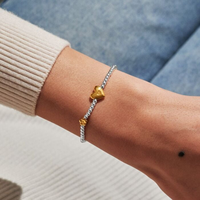 Birth Month A Little 'February' Bracelet in Silver and Gold Plating