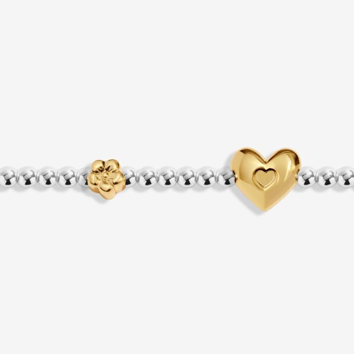 Birth Month A Little 'February' Bracelet in Silver and Gold Plating