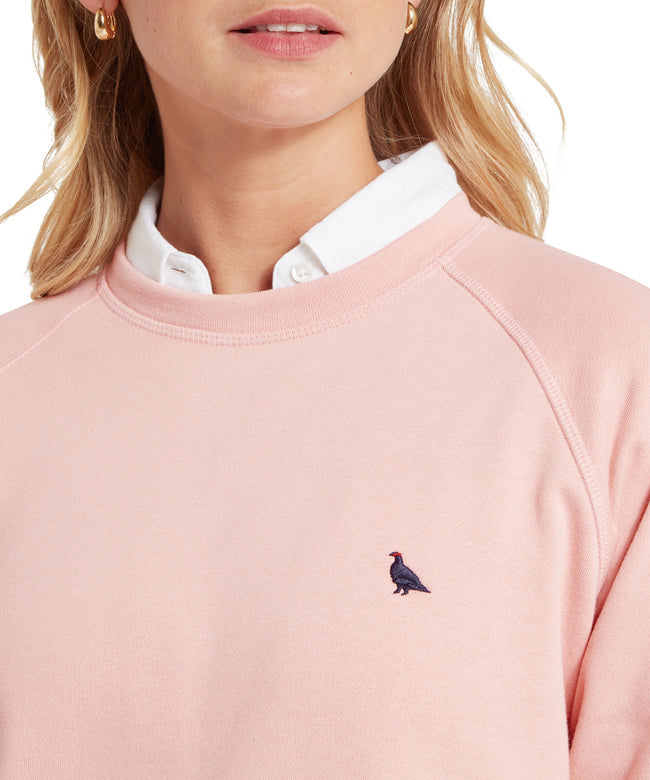 Newberry Sweatshirt Pale Rise