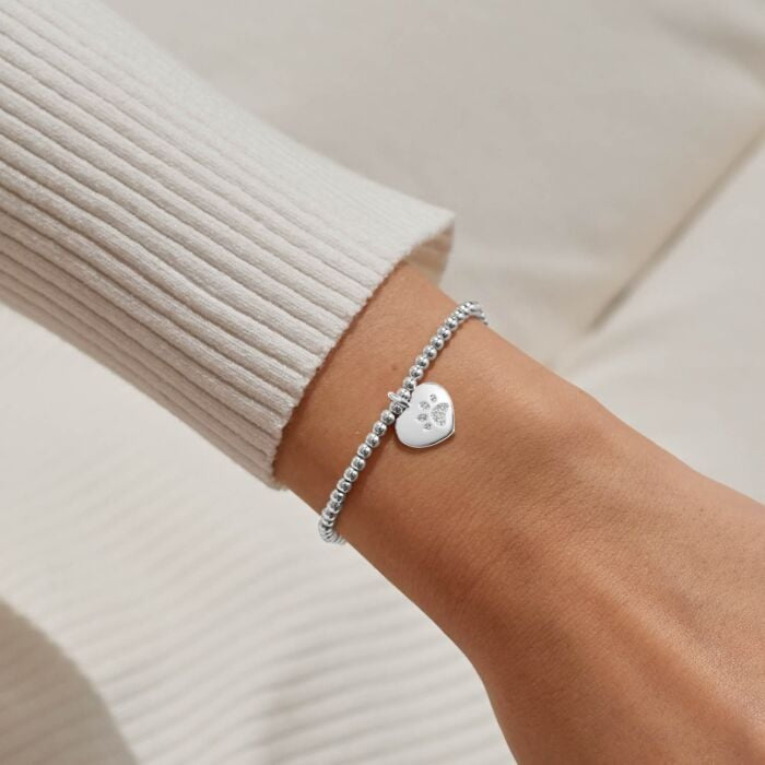 A Little 'Pets Leave Pawprints On Our Hearts' Bracelet