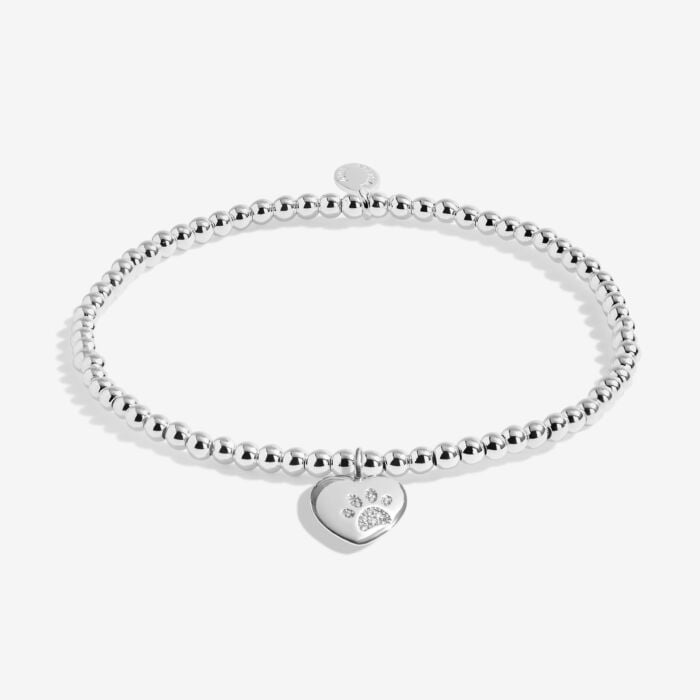 A Little 'Pets Leave Pawprints On Our Hearts' Bracelet