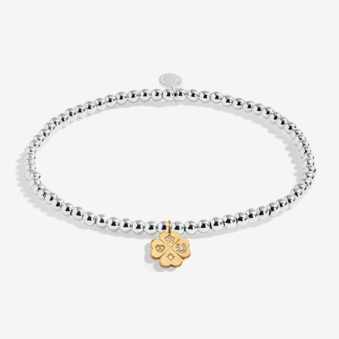 A Little 'Lucky Charm' Bracelet