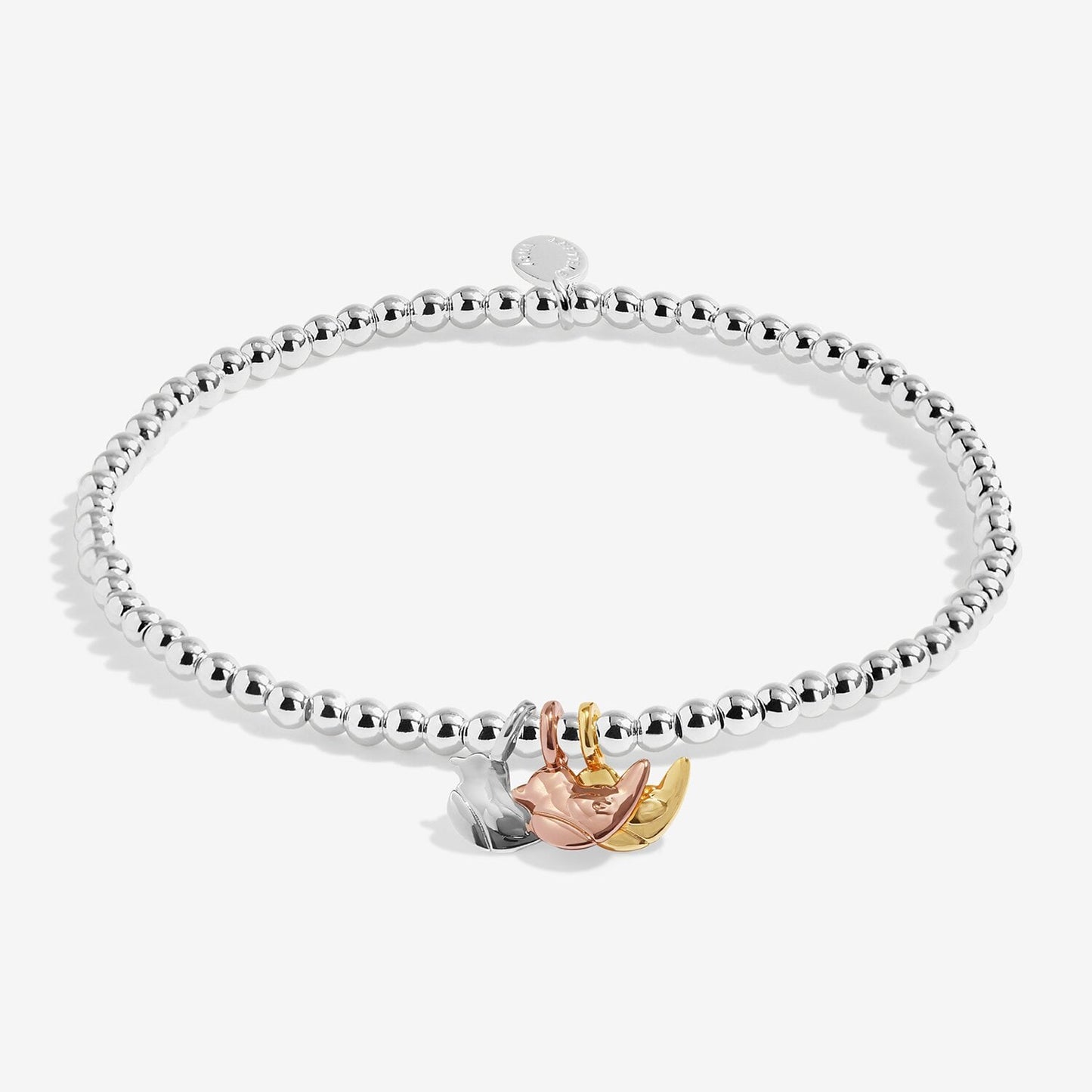 A Little Charmed Moments 'Robins Appear When Loved Ones Are Near' Bracelet In Silver, Gold, and Rose Gold Plating
