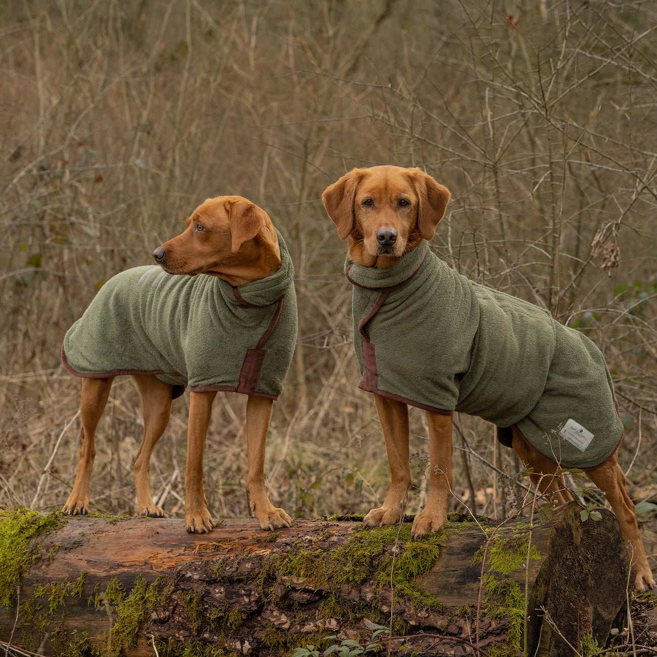 Country Dog Drying Coat - Moss