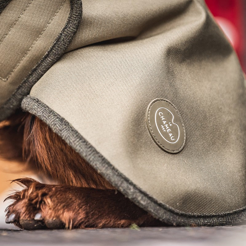 Dog Coat in Vert Chameau